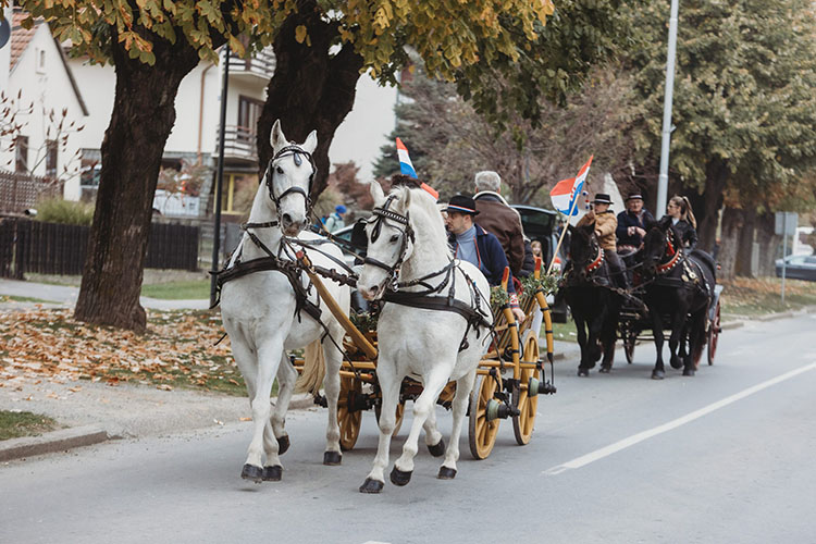 kutjevo4